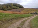 De Montigny à Arbois